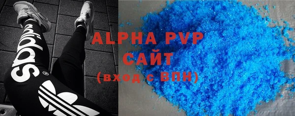 стаф Алзамай
