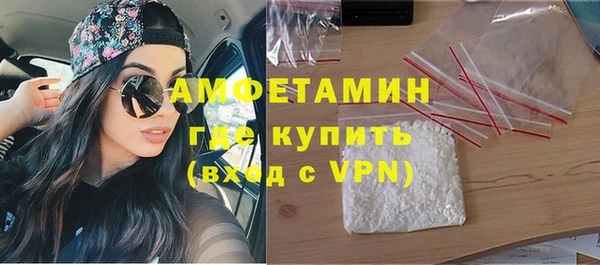 стаф Алзамай