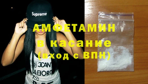 стаф Алзамай