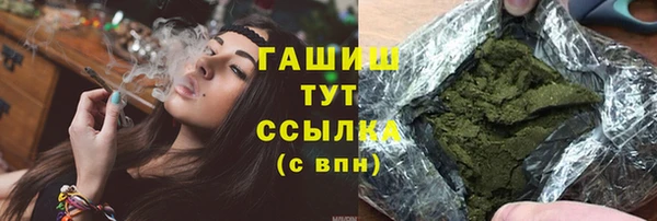 стаф Алзамай